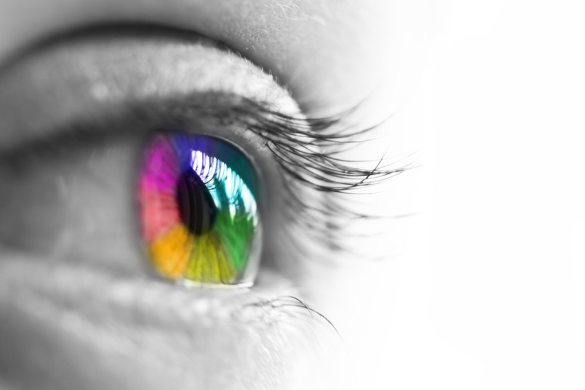 Oeil de profil, iris multicolore